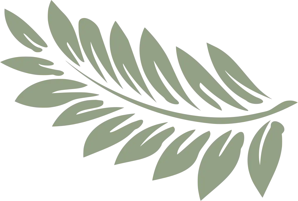 hoja helecho green